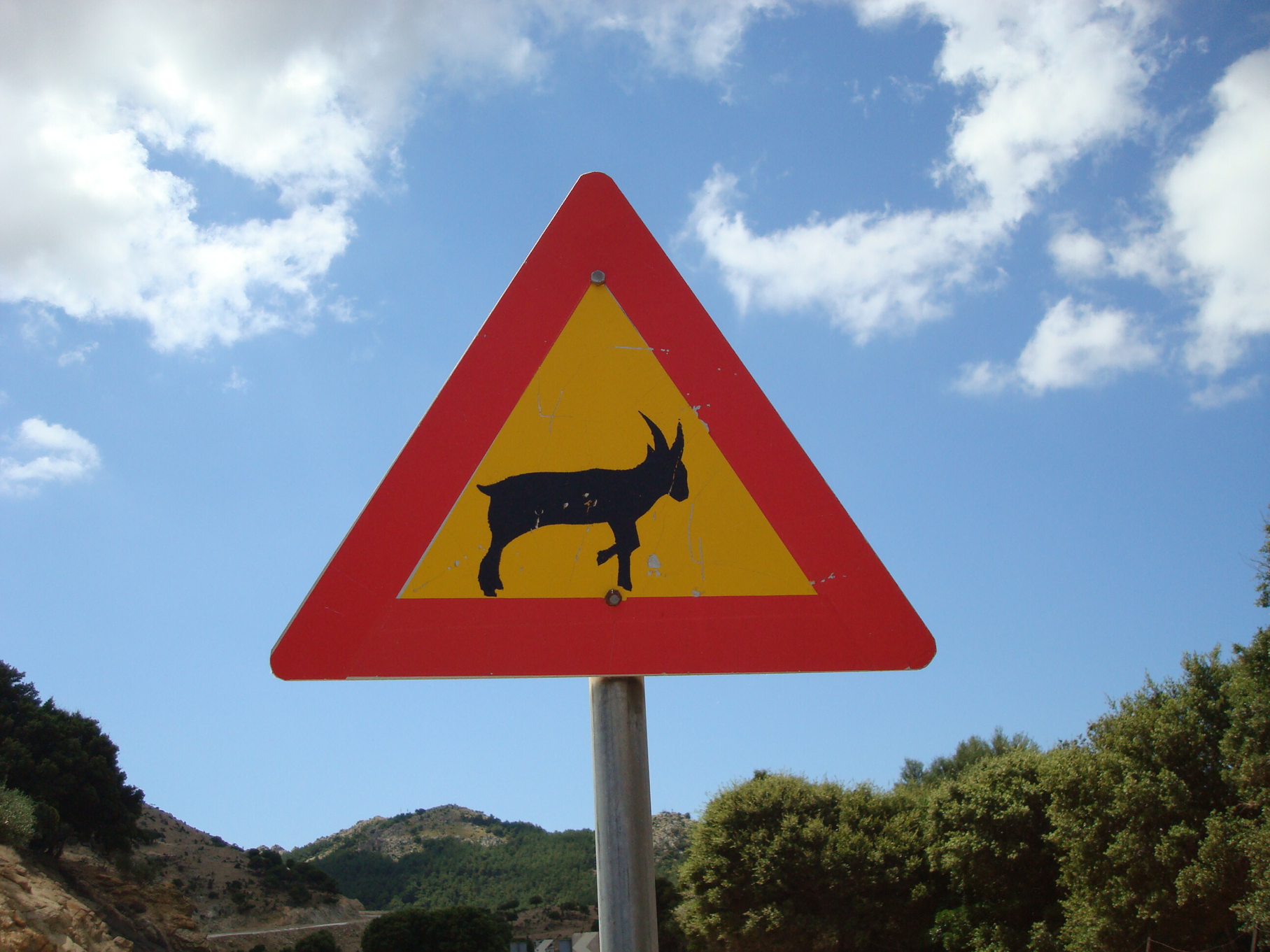 One of the many goat crossing signs that line the roads on Samothrace.