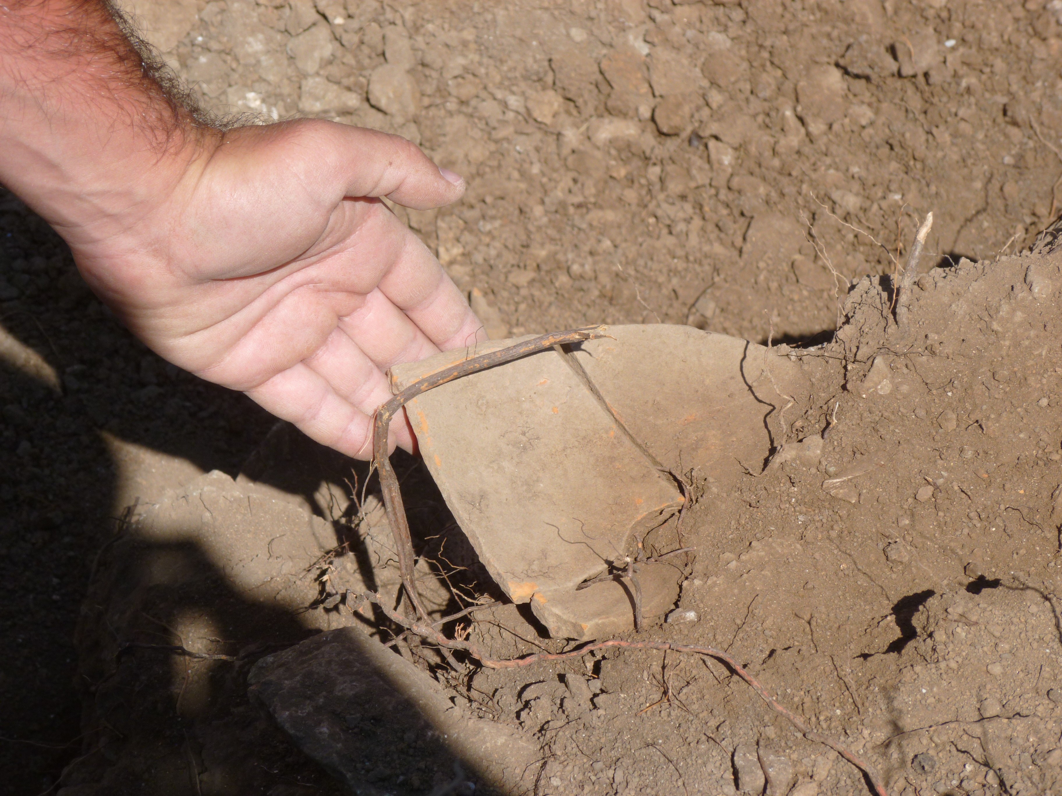 Fragments of a plate found in situ.